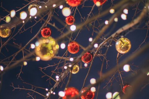 Das Team wünscht Ihnen ein frohes Fest!