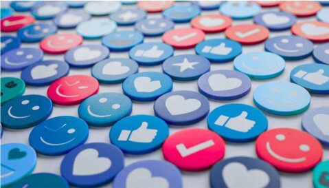 Your 2025 "Mobility" questionnaire is now available!